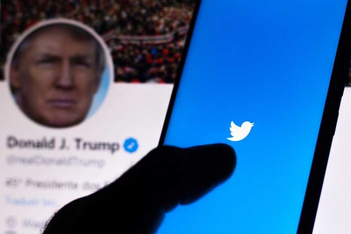 Trump Tells Fox News He's Not Returning to Twitter