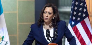 Kamala Harris Rally Sparks Debate Over Voter ID Laws and Perceived Double Standards