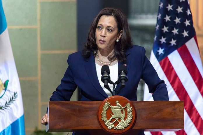 Kamala Harris Rally Sparks Debate Over Voter ID Laws and Perceived Double Standards