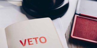 Closeup of "Veto" stamp on document page.