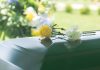 Two flowers on a casket at a funeral.