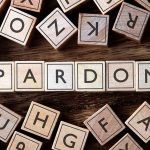 Pardon spelled with wooden letter tiles blocks