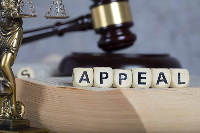 Blocks spelling "appeal" with gavel and balance scales.