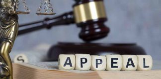 Blocks spelling "appeal" with gavel and balance scales.