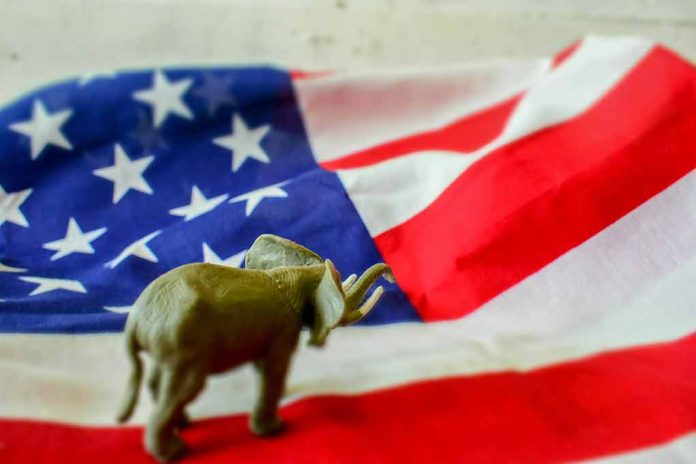 Elephant figure on American flag background