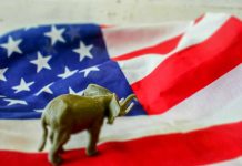 Elephant figure on American flag background