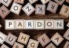 Pardon spelled with wooden letter tiles blocks