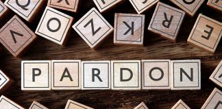 Pardon spelled with wooden letter tiles blocks