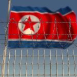 Barbed wire fence with North Korean flag behind