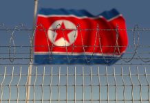 Barbed wire fence with North Korean flag behind
