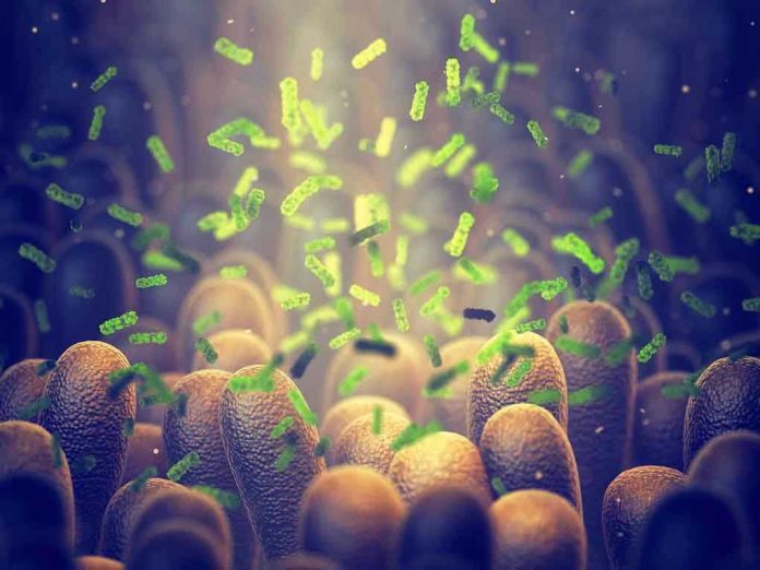 1495084595 bacteria