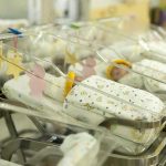 Newborn babies in a hospital nursery