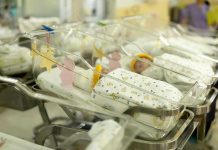 Newborn babies in a hospital nursery