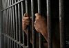 Hands gripping prison cell bars tightly.