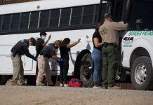 Immigration Footage Scandal Explodes – Feds Stunned! Border patrol officers investigating people near a bus.