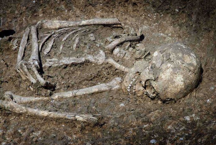 shutterstock_63258787.jpg Excavated human skeleton partially embedded in soil