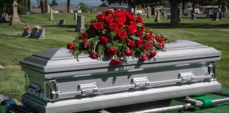 Silver casket with red roses in a cemetery.