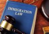 NYC Mayor-Elect Caught Coaching ICE Evasion Blue immigration law book with wooden gavel.