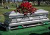 Historian’s Doll Collection of Exhumed Corpses Silver casket with rose bouquet in a cemetery.