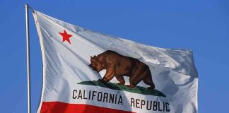 California state flag featuring a bear and a red star against a blue sky
