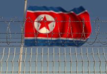 Barbed wire fence with North Korean flag behind.