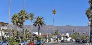 Street with cars, palm trees, and mountains in the background.