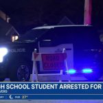 Teen Walks Blood-Covered After BRUTAL Killing Spree Mass. high school student accused of killing woman in '