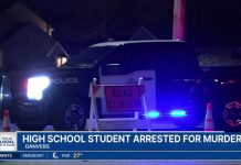 Mass. high school student accused of killing woman in '