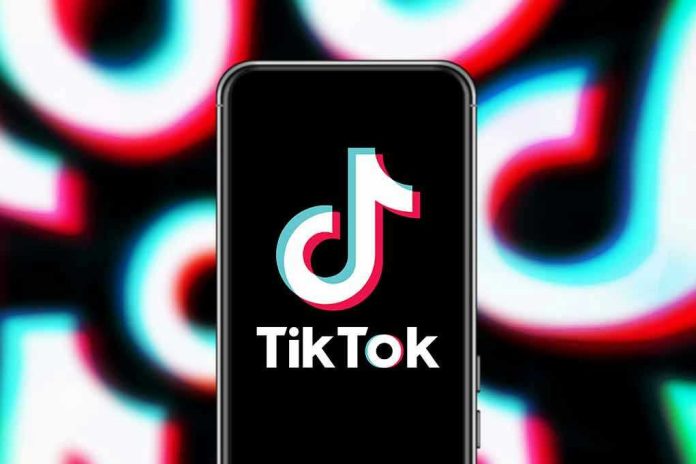 TikTok app logo on a smartphone screen.