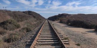 Railway tracks stretching into the distance, surrounded by vegetation.