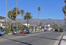 Street with cars, palm trees, and mountains in the background.