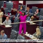 Dem Rep STORMS HOUSE AISLE with Pink Bullhorn Yelling