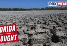 Drought EXPLODES - State Reaches CRITICAL Level