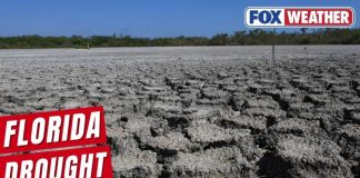 Drought EXPLODES - State Reaches CRITICAL Level