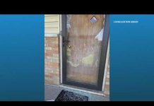 Indy councilor says his home was shot up, 'no data centers