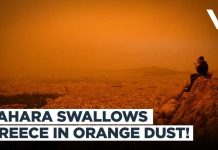 Sahara Swallows Crete African Dust Storm Turns Greek Skies