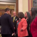 Minnesota's DFL lawmakers stage sit-in after gun violence prevention bill fails in house vote
