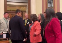 Minnesota's DFL lawmakers stage sit-in after gun violence prevention bill fails in house vote