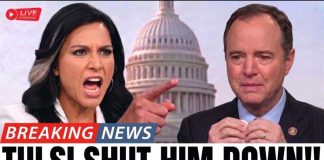 Senator’s Attack on Gabbard Amid Cancer Crisis Sparks Outrage Senator's Attack on Gabbard Amid Cancer Crisis Sparks Outrage