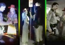 Hollywood Icon's Wild ARRESTED - Shocking Dashcam Video!