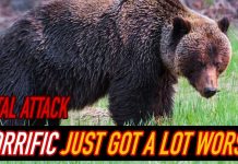 Grizzly Bear ATTACKS Hiker - MIRACULOUS Quick Thinking!