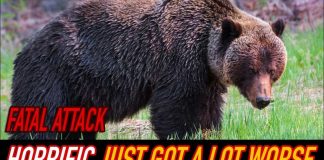 Grizzly Bear ATTACKS Hiker - MIRACULOUS Quick Thinking!