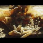 Flesh-Eating Fly DESTROYING U.S Livestock! First case of New World screwworm in country confirmed in Zavala County