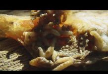 First case of New World screwworm in country confirmed in Zavala County