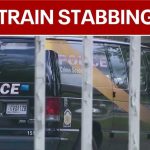 Train Passenger Brtually STABBED 20 TIMES By Maniac!