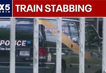 Train Passenger Brtually STABBED 20 TIMES By Maniac!