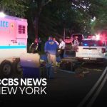 Central Park carriage horse killed by eating poisonous plant,