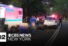 Central Park carriage horse killed by eating poisonous plant,