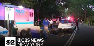 Central Park carriage horse killed by eating poisonous plant,