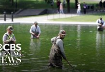 Reflecting Pool turns green after millions poured into renovations